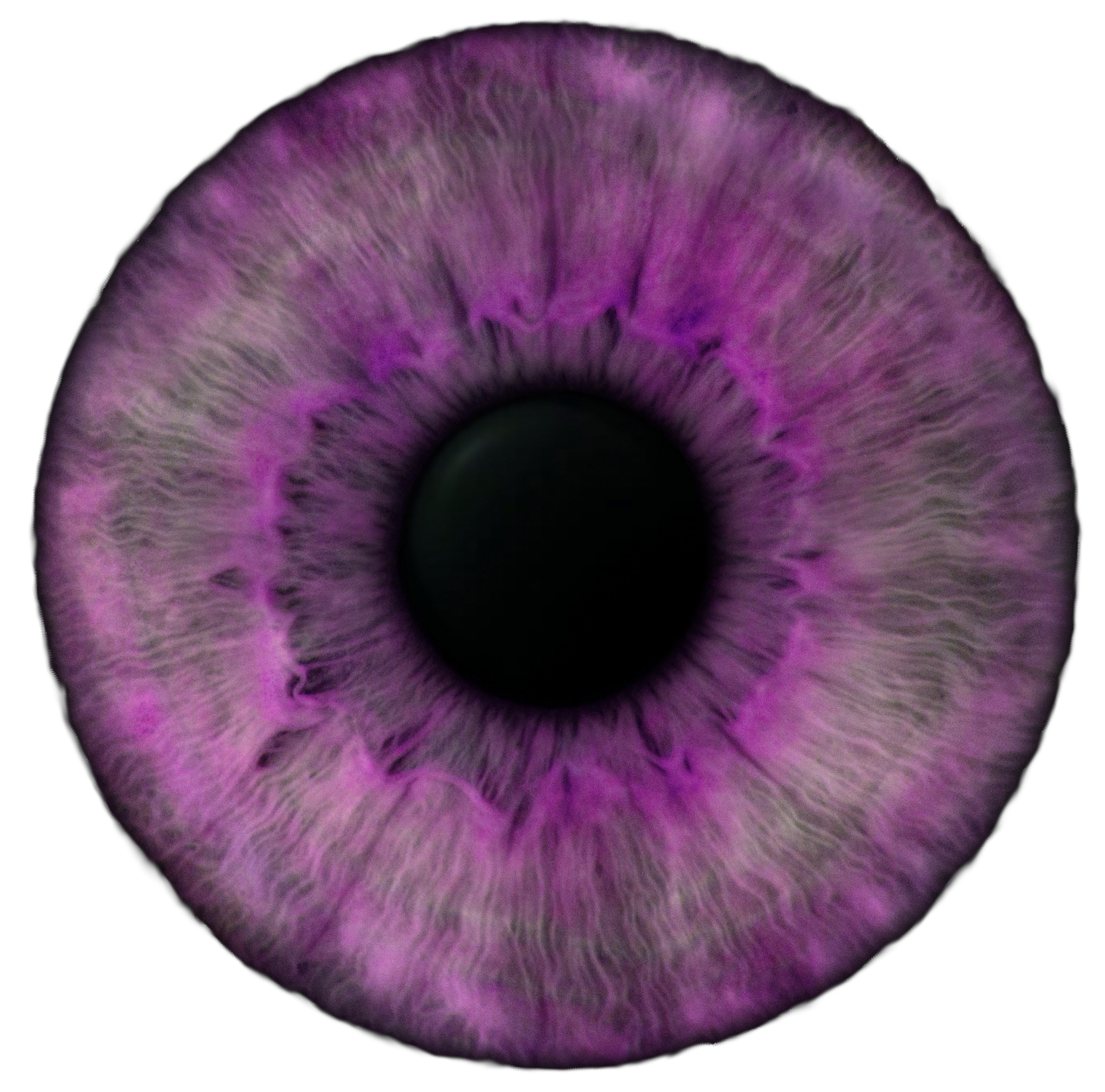 Iris